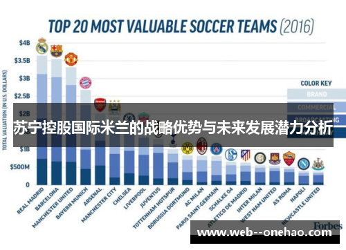 苏宁控股国际米兰的战略优势与未来发展潜力分析