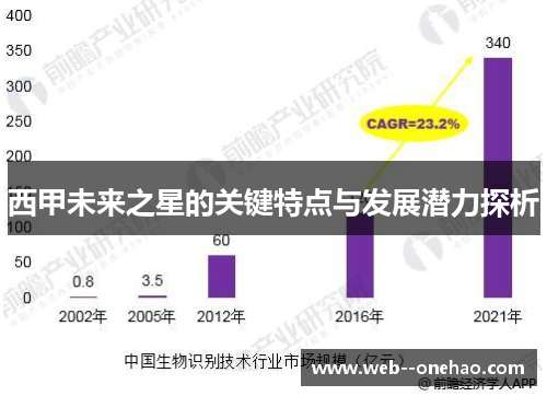 西甲未来之星的关键特点与发展潜力探析