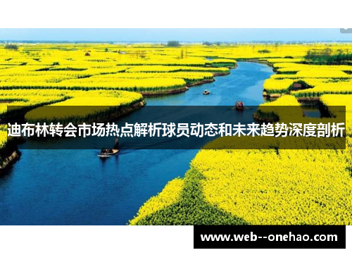 迪布林转会市场热点解析球员动态和未来趋势深度剖析