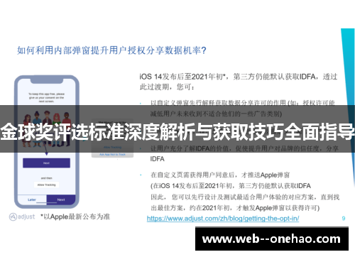 金球奖评选标准深度解析与获取技巧全面指导