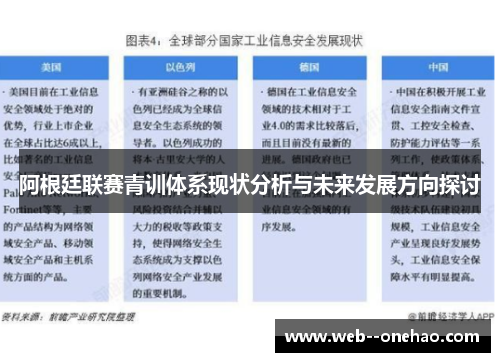阿根廷联赛青训体系现状分析与未来发展方向探讨