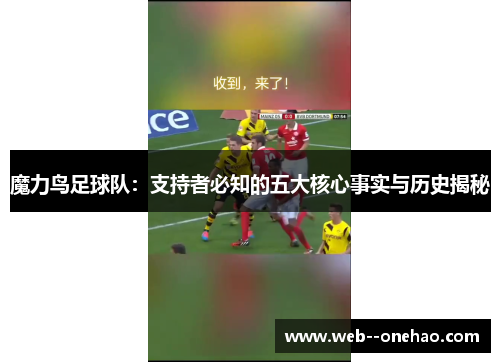 魔力鸟足球队：支持者必知的五大核心事实与历史揭秘